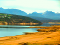 Three Vacant Stands - Clanwilliam Dam