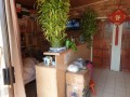 Residential Property, Cyrildene 2