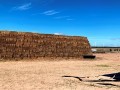 1176 Hectare Farm - Hopefield 32