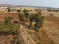 8.5 Hectare Farm Land - Tarlton 5