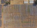 34 Hectare Farm - Tarlton   4