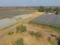 34 Hectare Farm - Tarlton   9