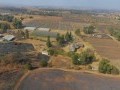 34 Hectare Farm - Tarlton   15