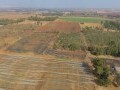 34 Hectare Farm - Tarlton   18