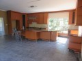 4 Bedroomed Home - Agricultural Smallholding - Port Elizabeth 19