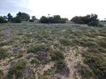Vacant Stand, St Helena Bay 3