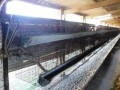 42 Hectare Farm - Paarl Rural 4