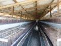 42 Hectare Farm - Paarl Rural 8