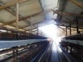 42 Hectare Farm - Paarl Rural 9