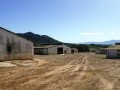 42 Hectare Farm - Paarl Rural 11