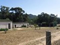 42 Hectare Farm - Paarl Rural 18